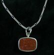 Agatized Dinosaur Bone & Gibeon Meteorite Pendant #7888-3